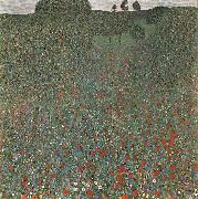 Gustav Klimt Mohnfeld Spain oil painting artist
